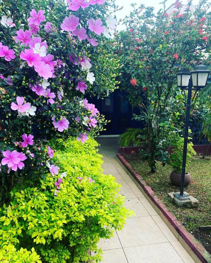 Villa Di Verona Charm Hotel غوارويا المظهر الخارجي الصورة
